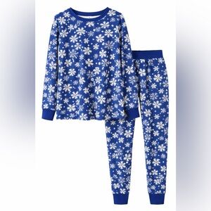 Hanna Andersson Blue Snowflake Organic Cotton Pajama Set | Women’s L